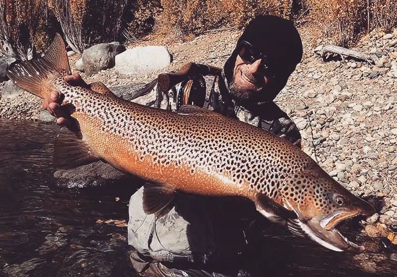Fishing Guide, Outfitter in Bariloche, Patagonia, Argentina. Limay River Manso River. Brown Trout, Rainbow trout. Fishing Lodge.