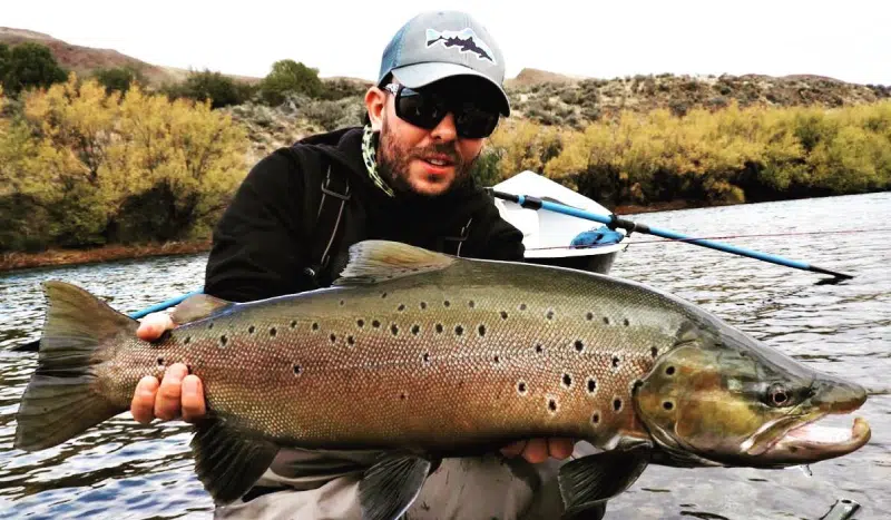 Fishing Guide, Outfitter in Bariloche, Patagonia, Argentina. Limay River Manso River. Brown Trout, Rainbow trout. Fishing Lodge.