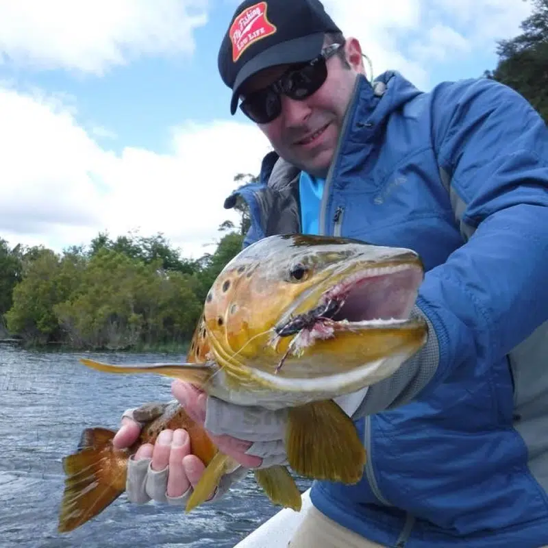 Fishing Guide, Outfitter in Bariloche, Patagonia, Argentina. Limay River Manso River. Brown Trout, Rainbow trout. Fishing Lodge.