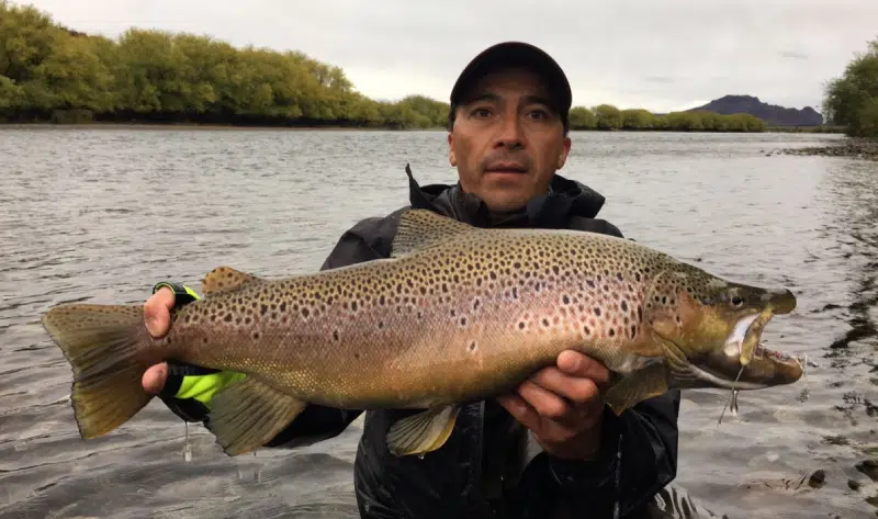 Fishing Guide, Outfitter in Bariloche, Patagonia, Argentina. Limay River Manso River. Brown Trout, Rainbow trout. Fishing Lodge.