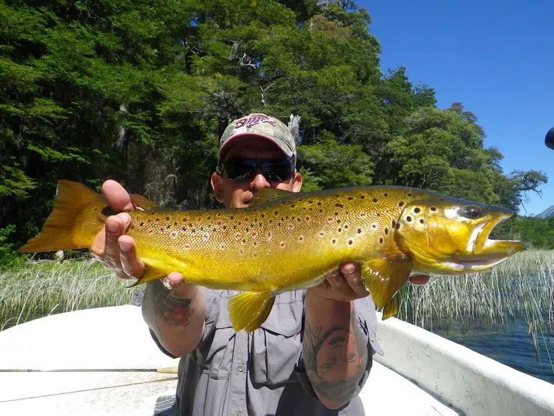 Fishing Guide, Outfitter in Bariloche, Patagonia, Argentina. Limay River Manso River. Brown Trout, Rainbow trout. Fishing Lodge.