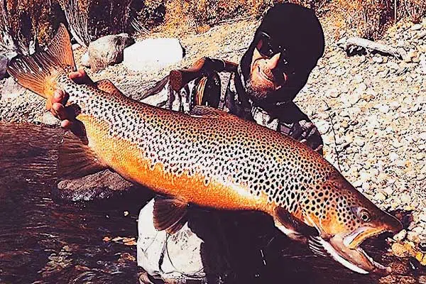 Fishing Guide, Outfitter in Bariloche, Patagonia, Argentina. Limay River Manso River. Brown Trout, Rainbow trout. Fishing Lodge.