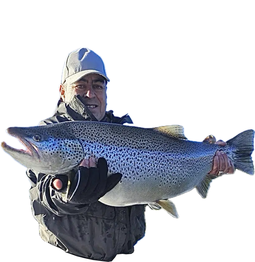 Brown Trout Bariloche Patagonia Argetnina Fly Fishing