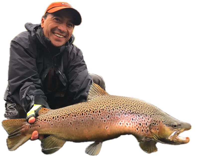 Brown Trout Bariloche Patagonia Argetnina Fly Fishing