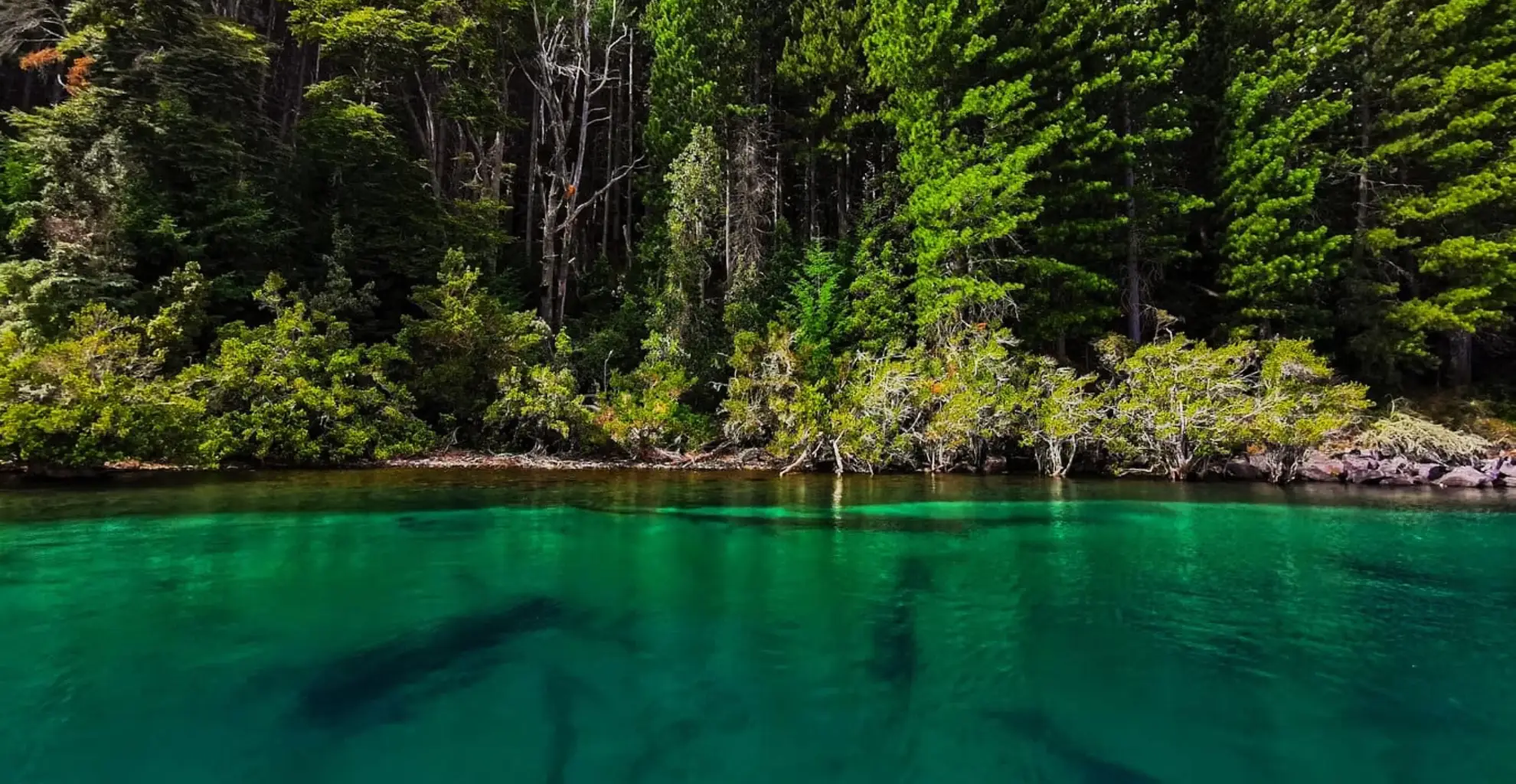 nahuel-river-fishing-patagonia-upper-lower-flyfishing-guide-